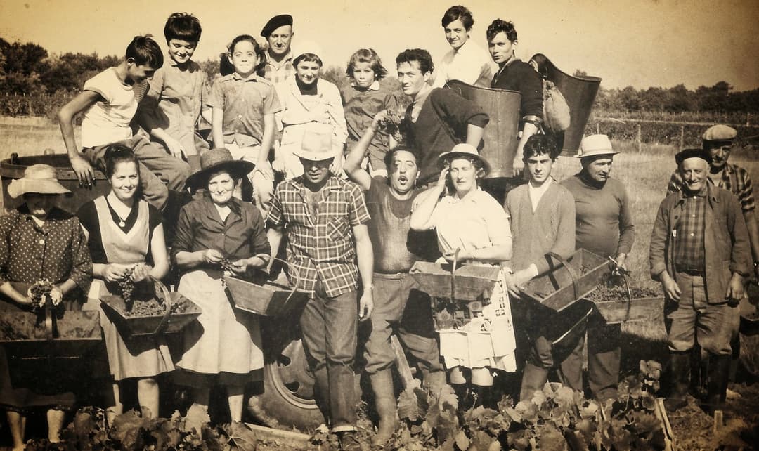 La famille Brun aux vendanges — archives familiales